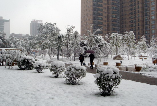 “北京初雪”/